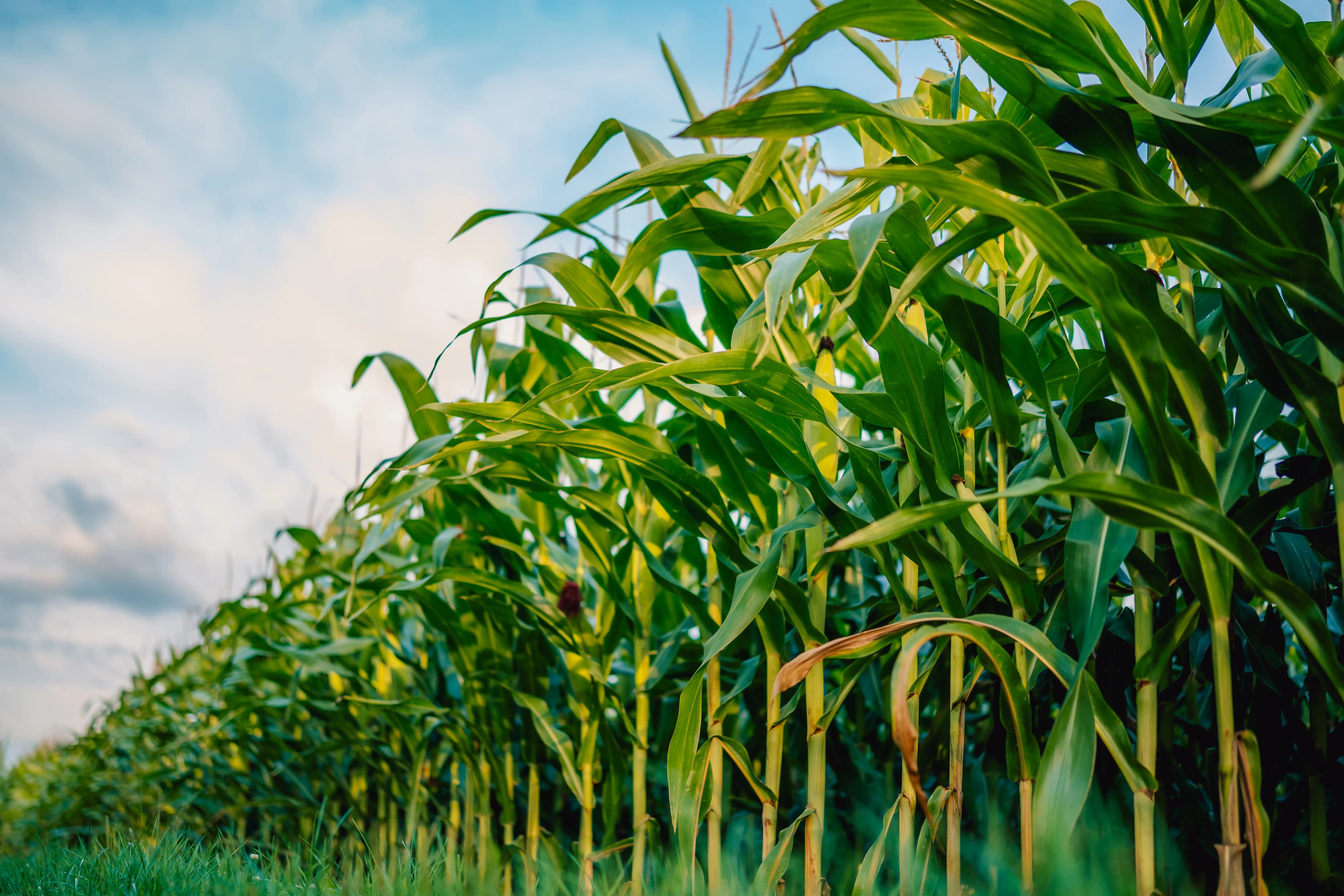 Stay at the forefront of the future of agriculture