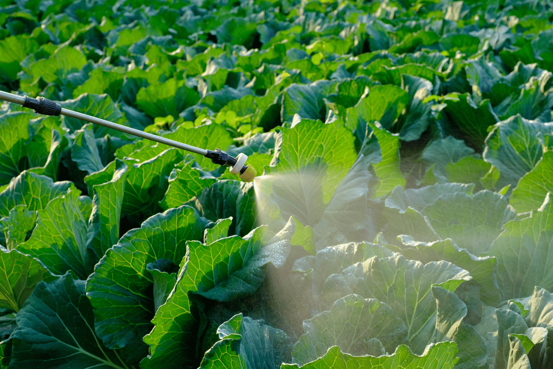 Stay at the forefront of the future of agriculture